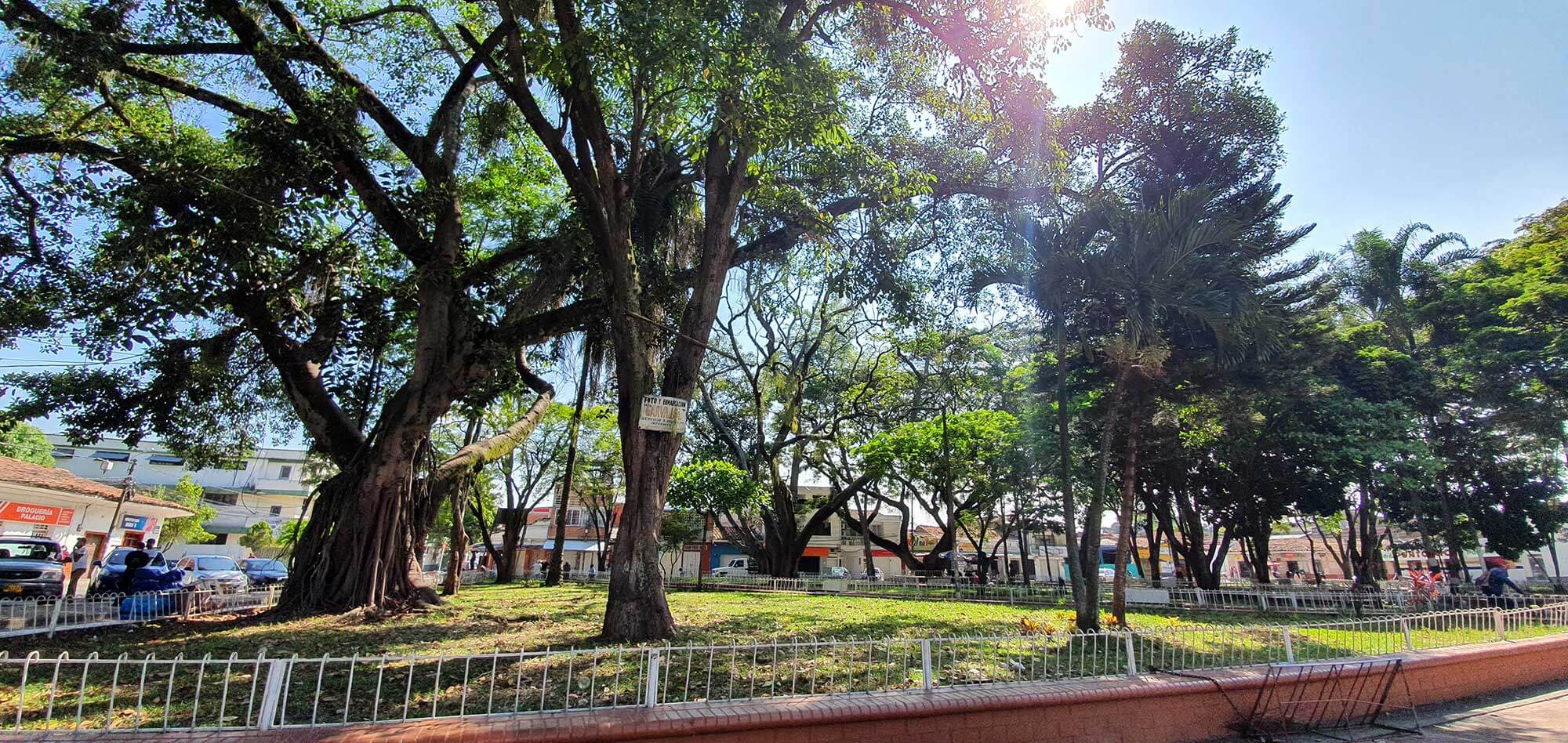 “Parque de los fundadores/Parque de las Iguanas”. Fotografía: Jaír Cerón Velasco para el CNMH, 2020.