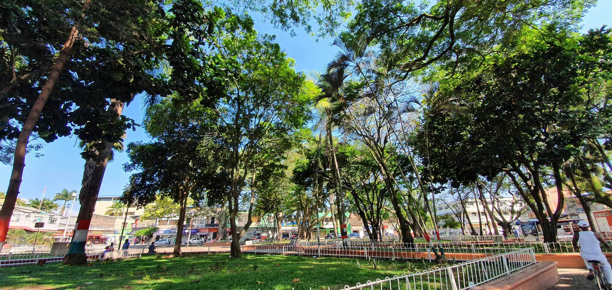 “Parque de los fundadores/Parque de las Iguanas”. Fotografía: Jaír Cerón Velasco para el CNMH, 2020.